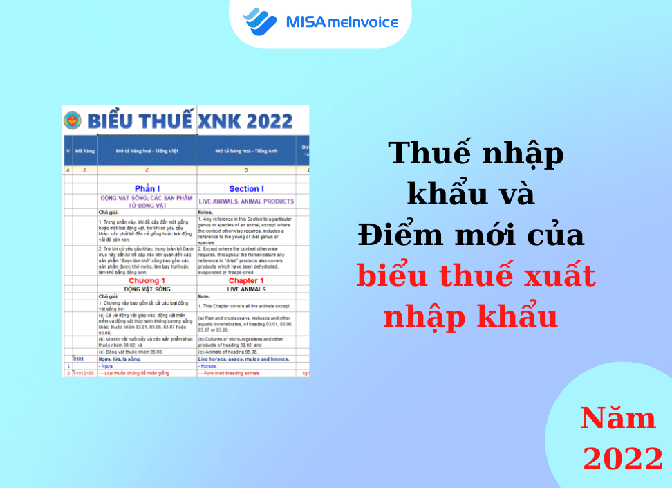 Thuế Nhập Khẩu Và Điểm Mới Của Biểu Thuế Xuất Nhập Khẩu Năm 2022